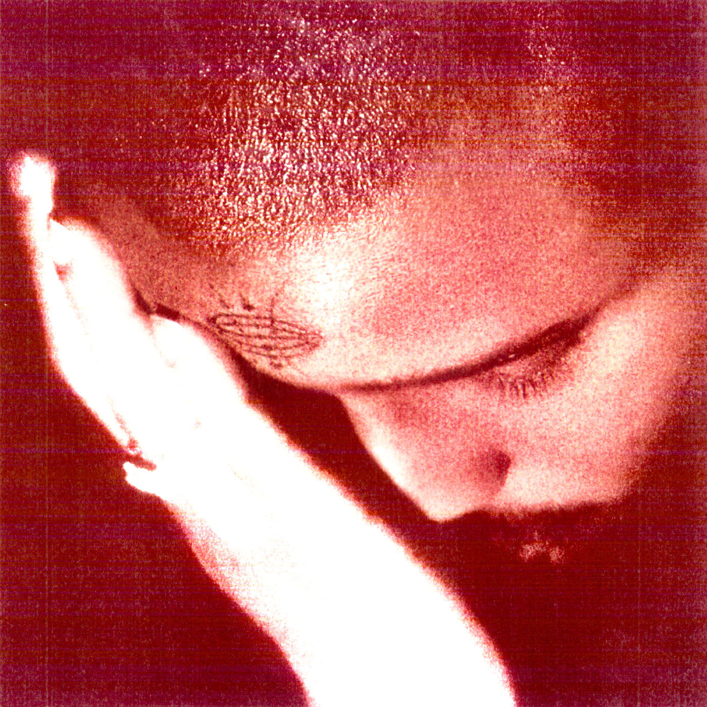 Nourished by Time - The Passionate Ones (CD)