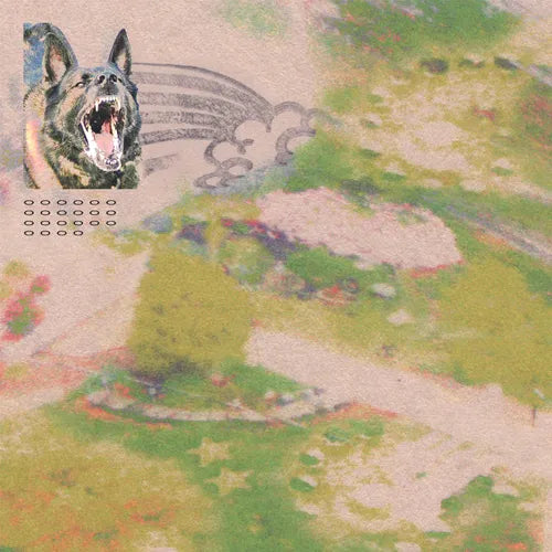 Feeble Little Horse - Girl With Fish (Indie Exclusive, Grey Galaxy LP Vinyl)