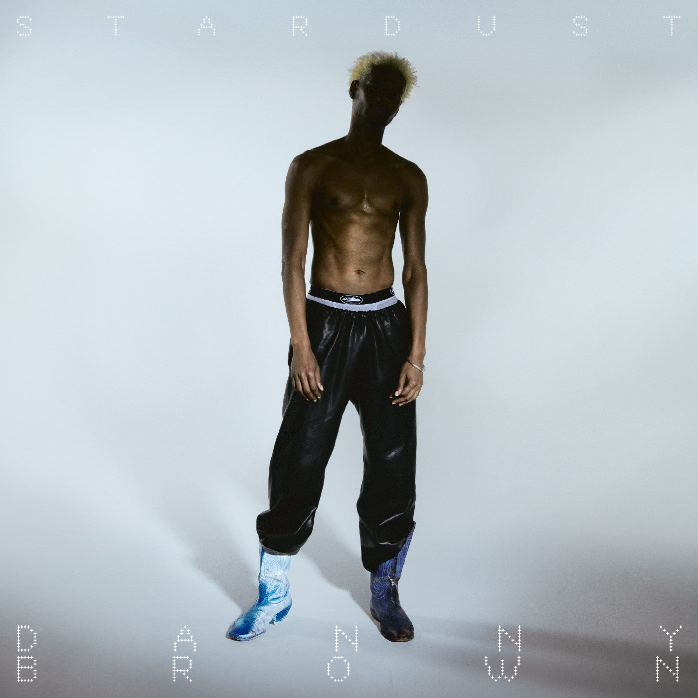 Danny Brown - Stardust album artwork cover