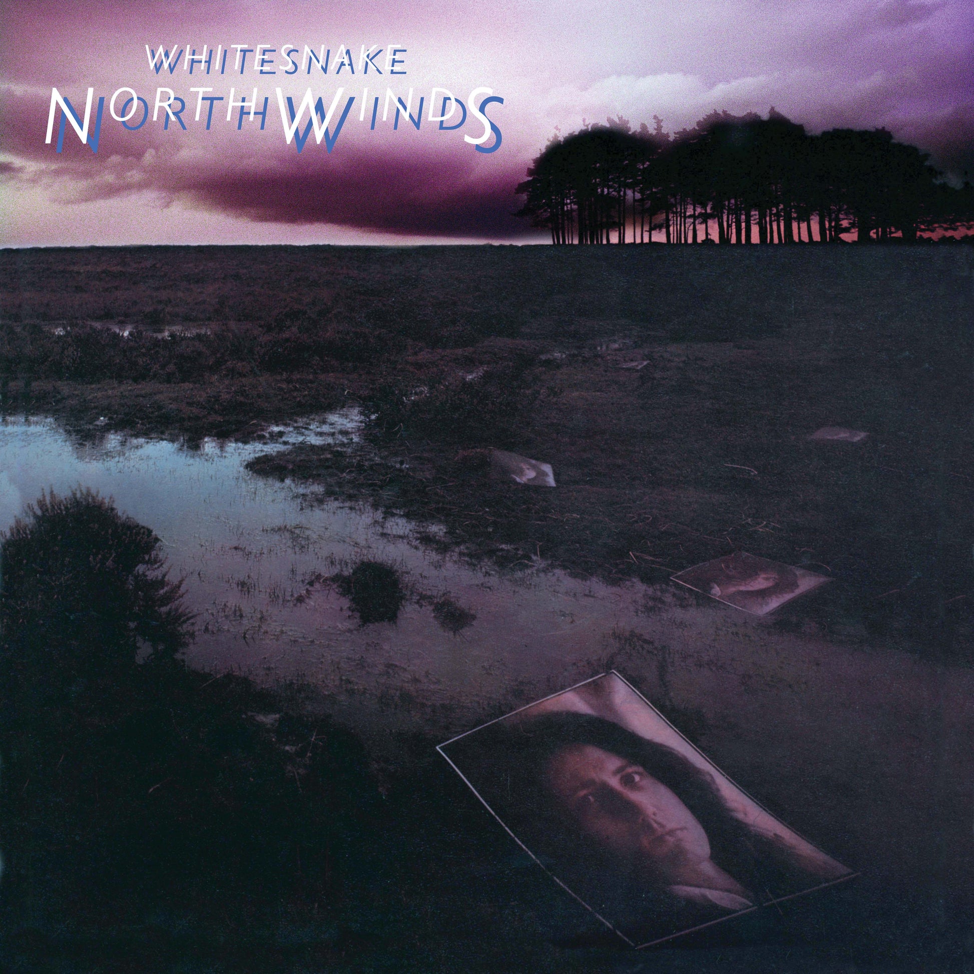 Whitesnake - NorthWinds (Rocktober 2024, Black Ice LP Vinyl, Brick & Mortar Exclusive) UPC: 603497823888