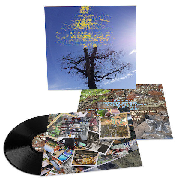 Laetitia Sadier - Rooting For Love (LP Vinyl) UPC: 781484087410