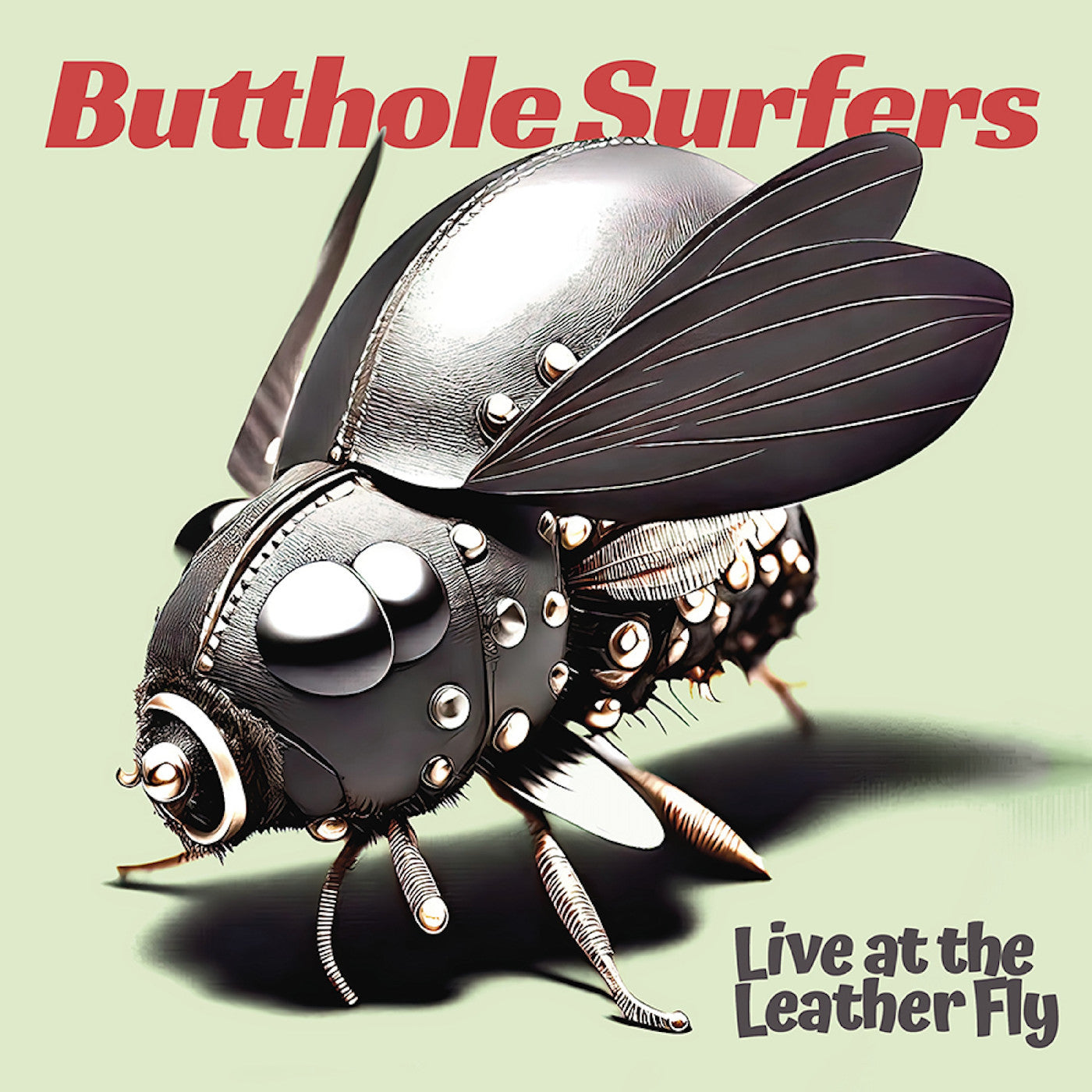 Butthole Surfers - Live at the Leather Fly (2LP Pink Opaque Vinyl) UPC: 708535707127