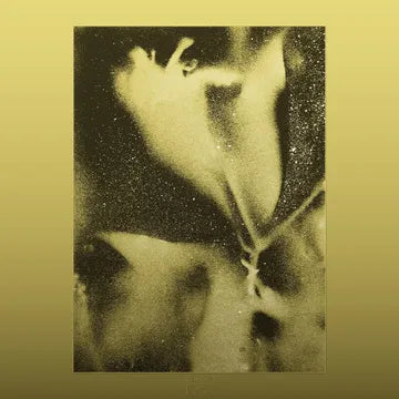Flying Lotus - 1983 (RSD 2026, LP Vinyl)