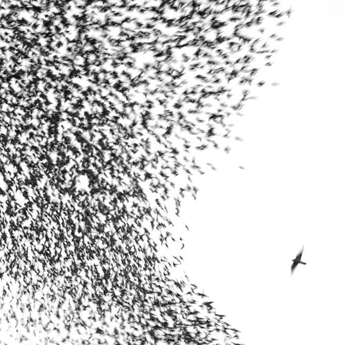 Wilco - Sky Blue Sky (2LP Vinyl) UPC: 075597998689