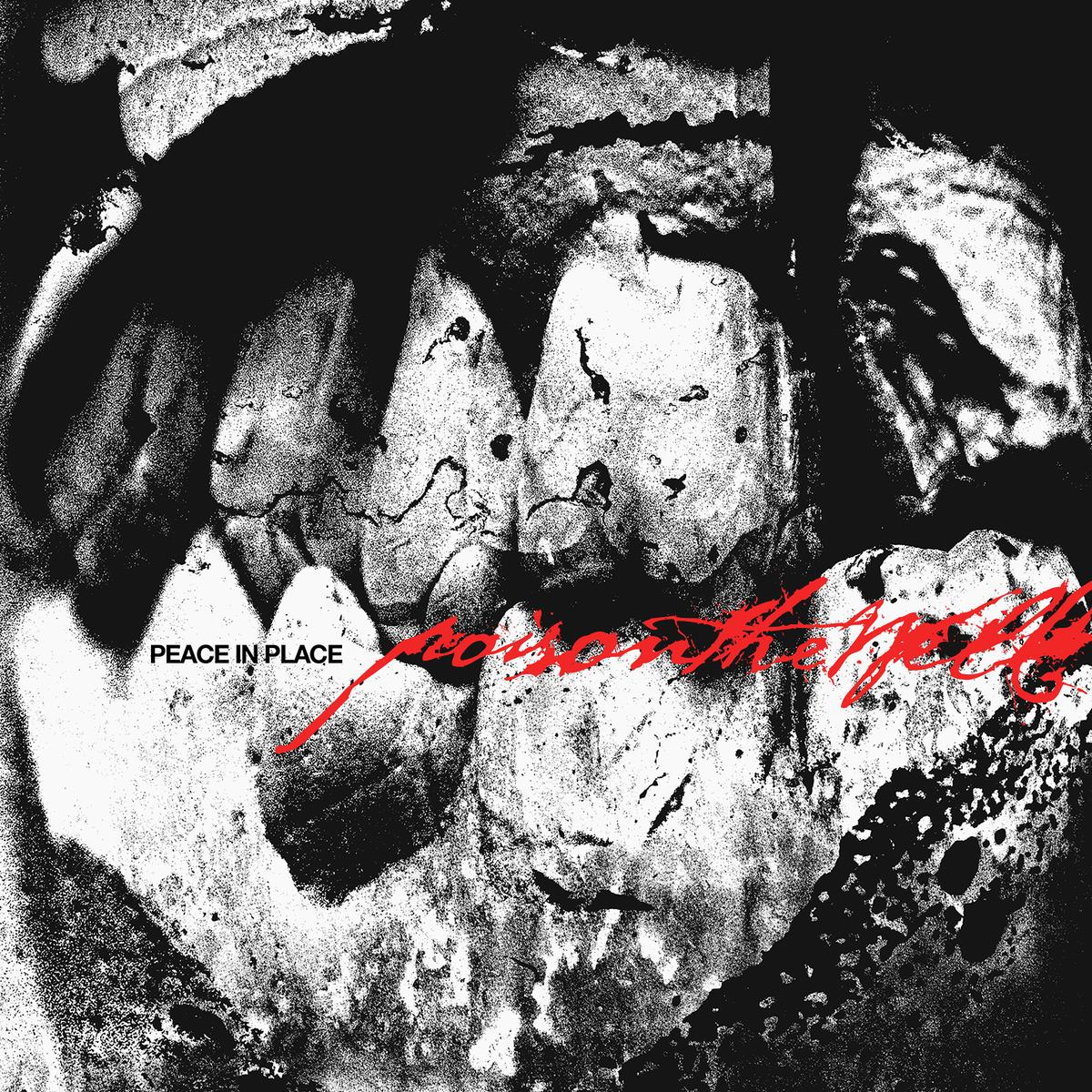 Poison The Well - Peace In Place (CD) UPC: 4065629759322