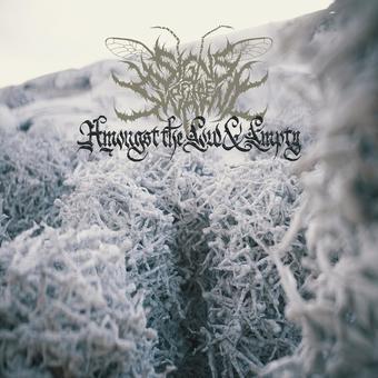 Signs of the Swarm - Amongst The Low & Empty (LP Vinyl)