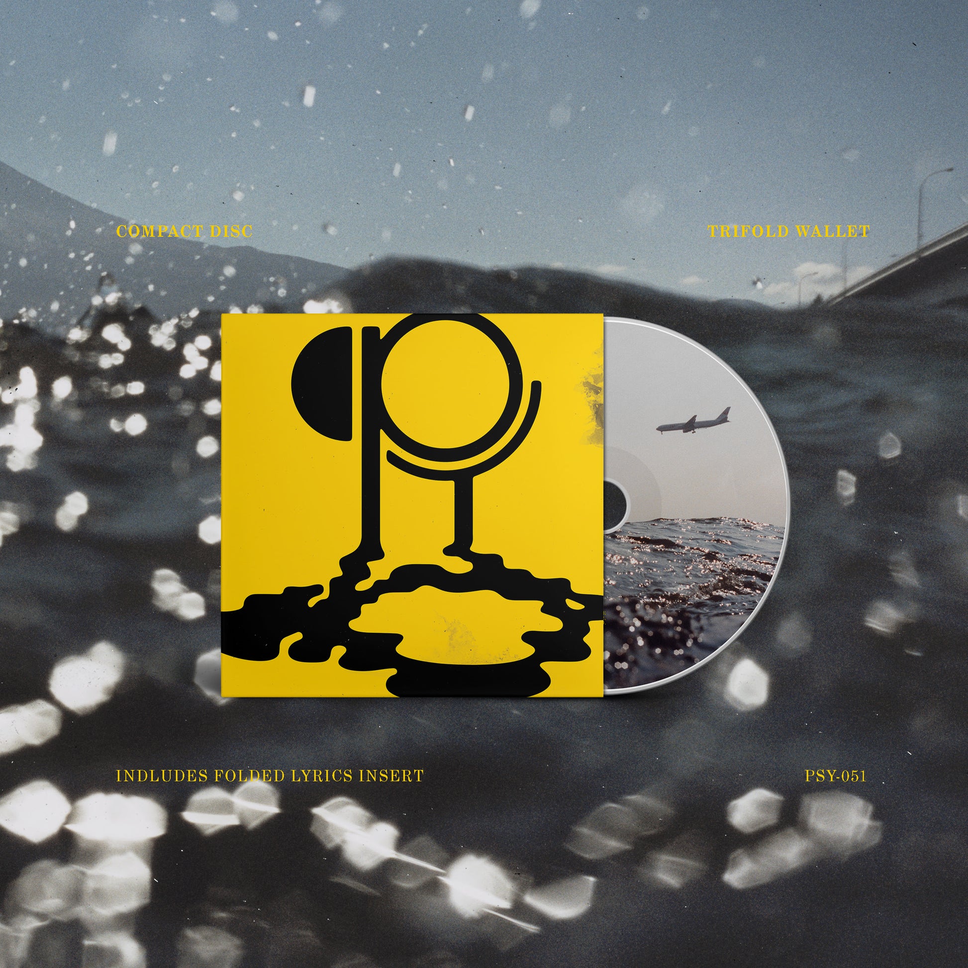 Hippo Campus - Flood (CD) UPC: 850056058520