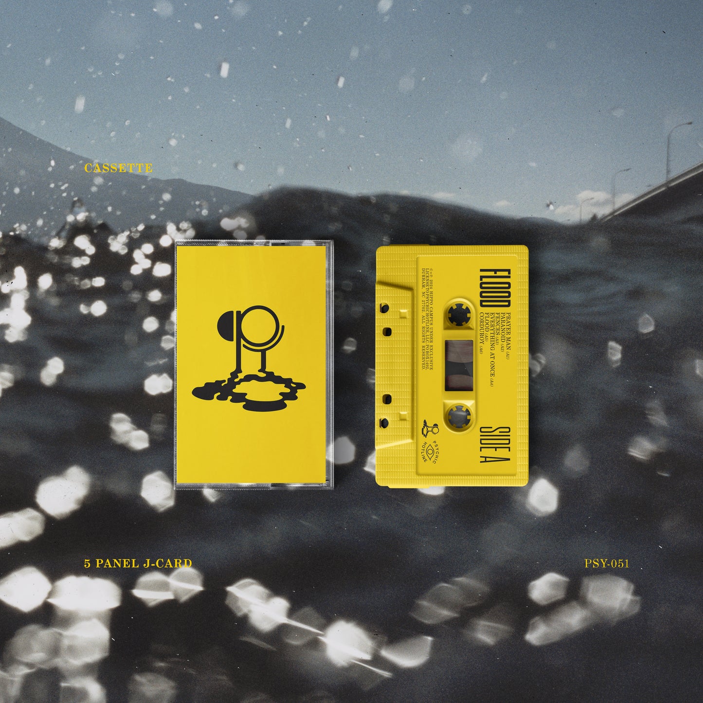 Hippo Campus - Flood (Cassette) UPC: 850056058551