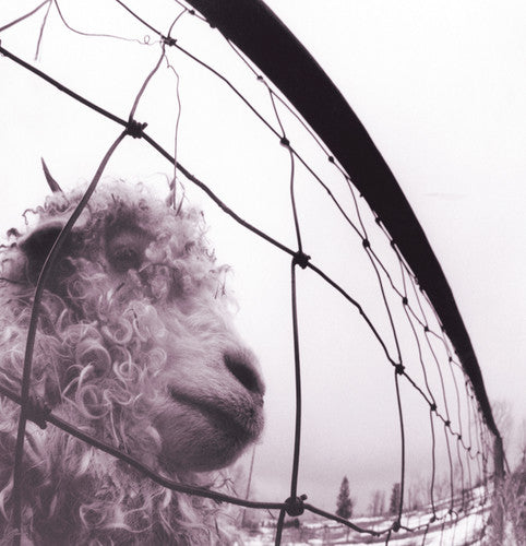 Pearl Jam - VS. (LP Vinyl)