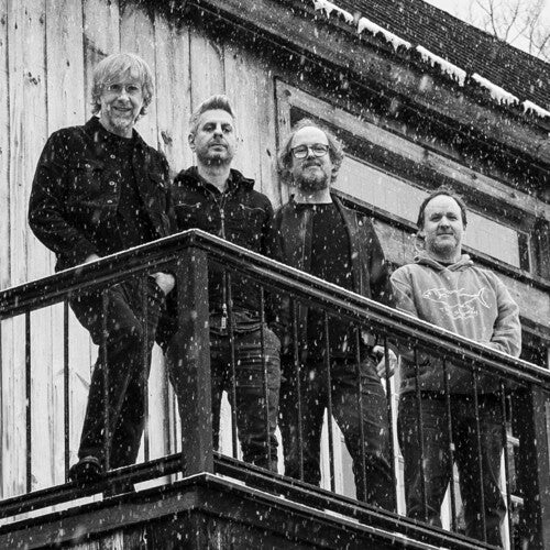 Phish - Sigma Oasis (seafoam/black split)