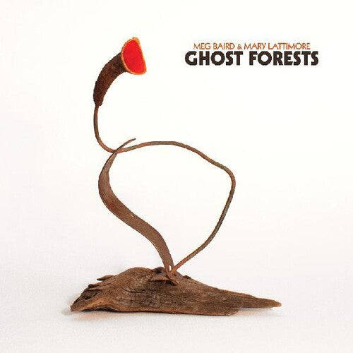 Meg Baird & Mary Lattimore – Ghost Forests