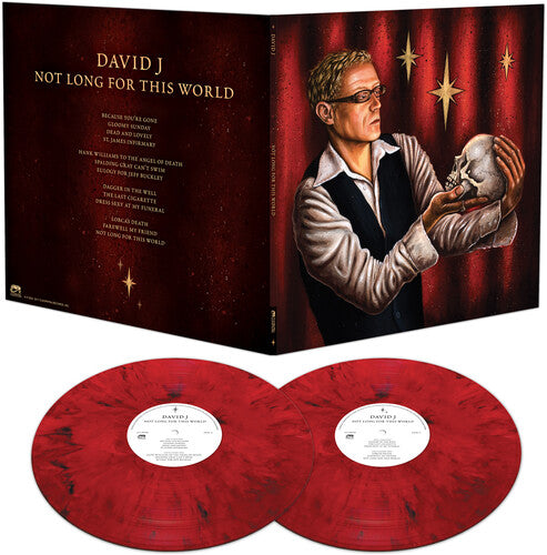 David J - Not Long For This World vinyl