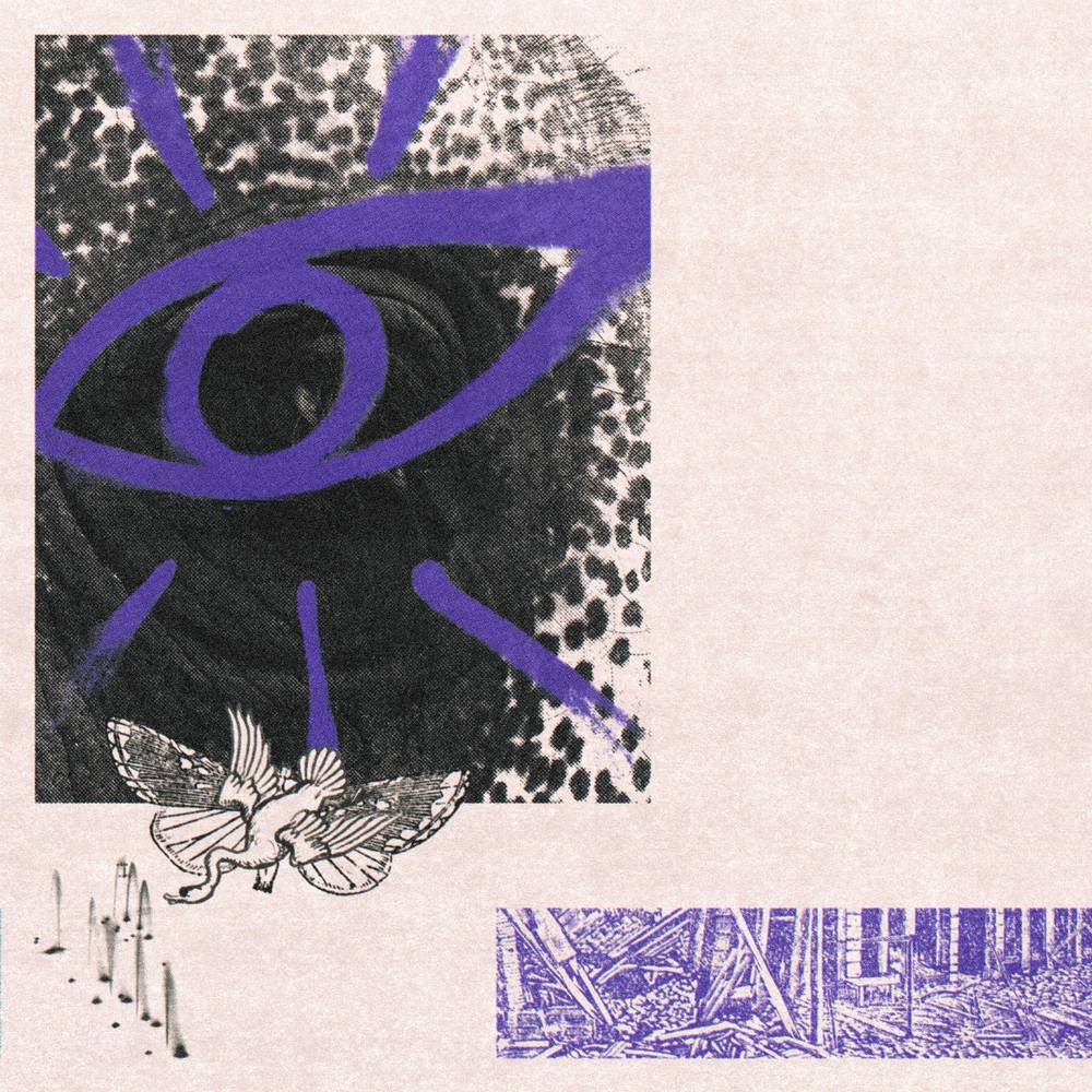 Hippo Campus - Lp3 (Indie Exclusive, Clear Purple Vinyl)