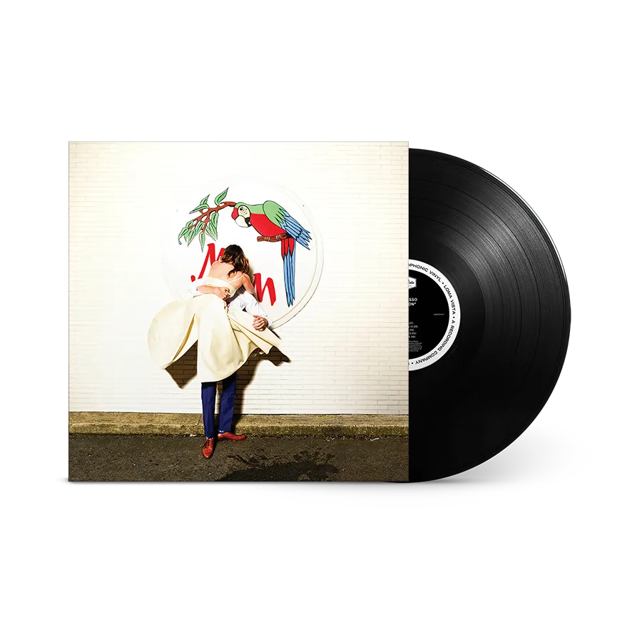 Sylvan Esso – What Now (LP Vinyl, 2023 Reissue) UPC: 888072501256