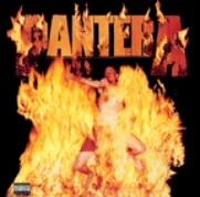 Pantera - Reinventing The Steel (Black LP Vinyl)