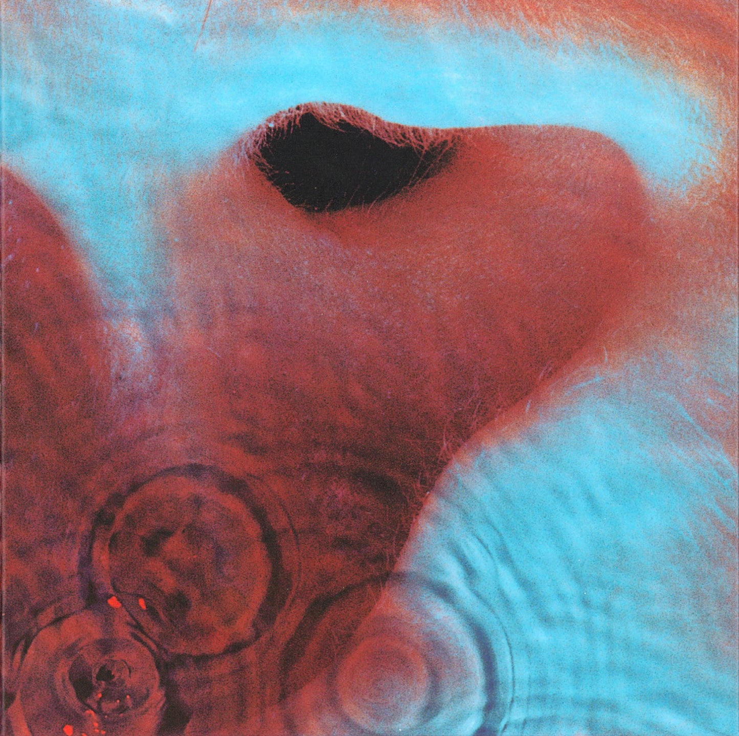 Pink Floyd - Meddle (LP Vinyl)