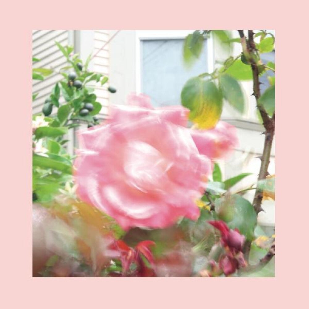 The Reds, Pinks & Purples - Summer At Land's End (Indie Exclusive, Yellow Vinyl