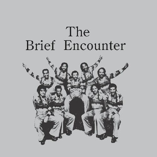 The Brief Encounter - Introducing The Brief Encounter (Smoky Mountain Vinyl)