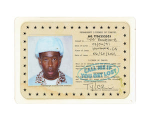 Tyler, The Creator - Call Me If You Get Lost (2LP Vinyl)