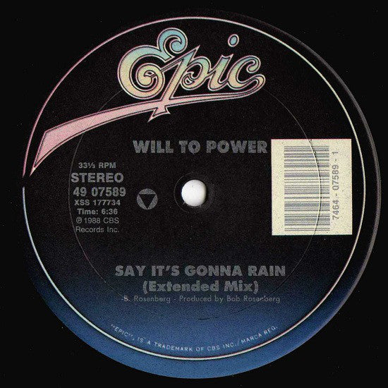 Will To Power : Say It's Gonna Rain (12",33 ⅓ RPM)