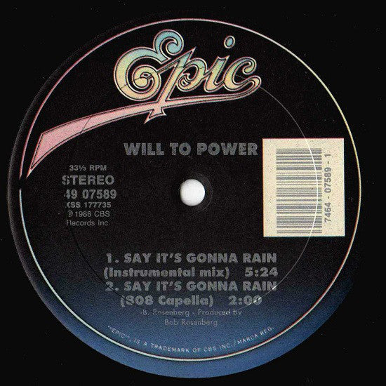 Will To Power : Say It's Gonna Rain (12",33 ⅓ RPM)