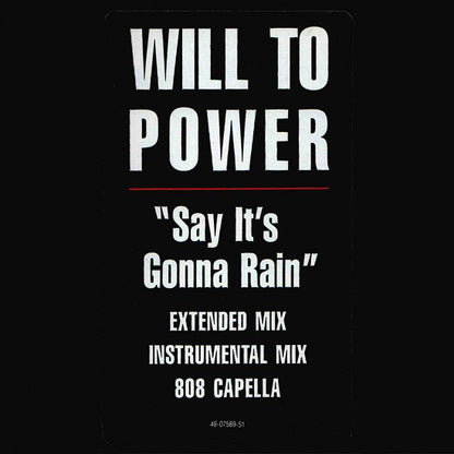 Will To Power : Say It's Gonna Rain (12",33 ⅓ RPM)