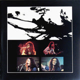 Uriah Heep : The Magician's Birthday (LP,Album)