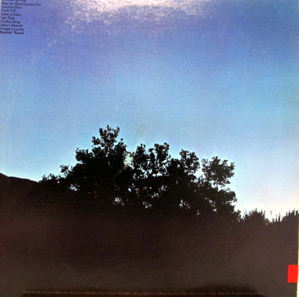 Arlo Guthrie : Last Of The Brooklyn Cowboys (LP,Album)