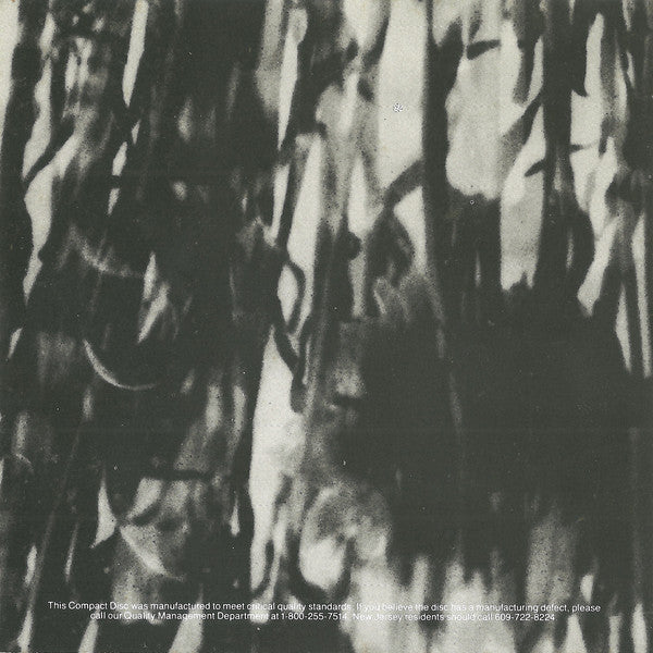 Psychedelic Furs, The : Book Of Days (Album)
