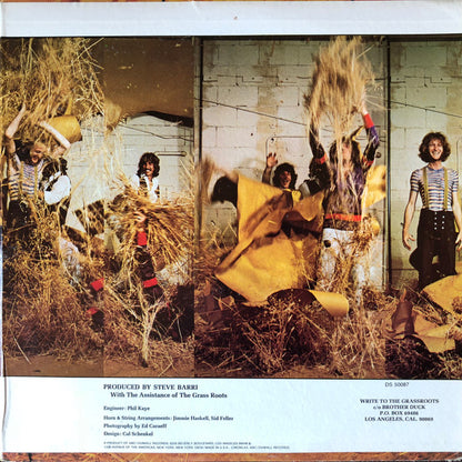 Grass Roots, The : More Golden Grass (LP,Compilation,Stereo)