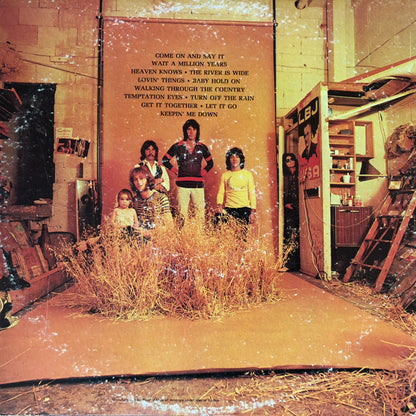Grass Roots, The : More Golden Grass (LP,Compilation,Stereo)