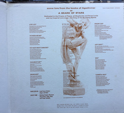 Tyrannosaurus Rex : A Beard Of Stars (LP,Album,Reissue)