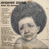 Reigning Sound : Home For Orphans (LP,Compilation)