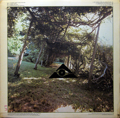 Hidden Strength : Hidden Strength (LP,Album)