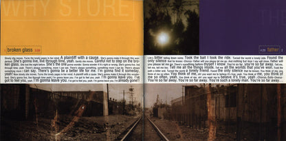 Why Store, The : The Why Store (Album)