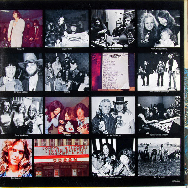 Lynyrd Skynyrd : Skynyrd's First And... Last (LP,Album,Stereo)