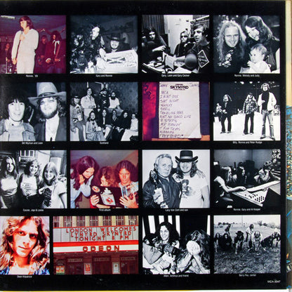 Lynyrd Skynyrd : Skynyrd's First And... Last (LP,Album,Stereo)