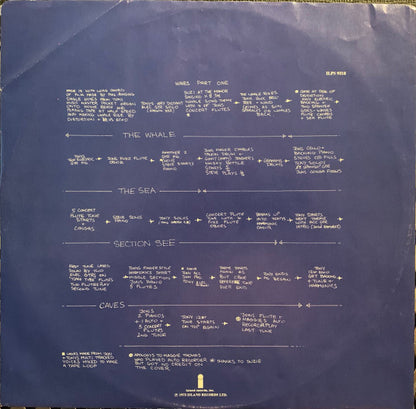 Jade Warrior : Waves (LP,Album)