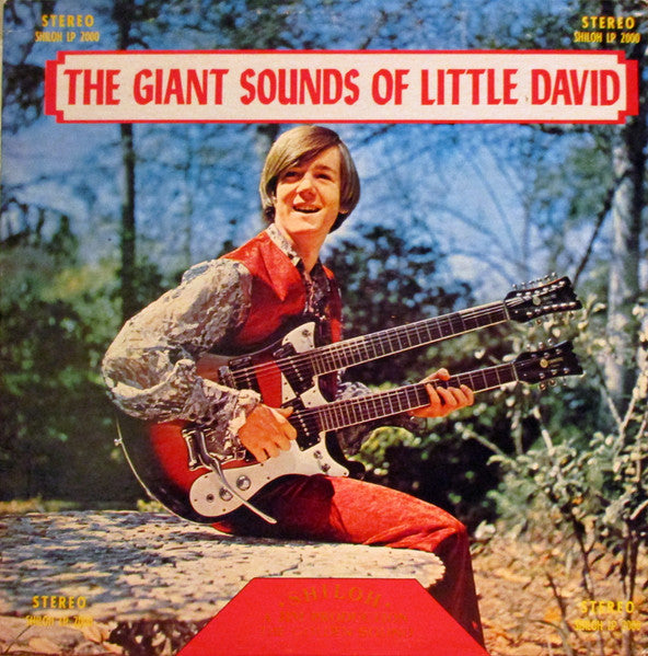 David Smith (60) : The Giant Sounds Of Little David (LP,Album)