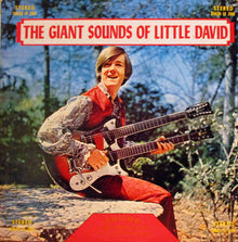 David Smith (60) : The Giant Sounds Of Little David (LP,Album)