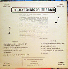 David Smith (60) : The Giant Sounds Of Little David (LP,Album)