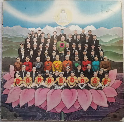George Harrison : Dark Horse (LP,Album)