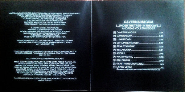 Andreas Vollenweider : "Caverna Magica" (...Under The Tree – In The Cave...) (Album,Reissue,Repress)
