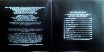 Andreas Vollenweider : "Caverna Magica" (...Under The Tree – In The Cave...) (Album,Reissue,Repress)