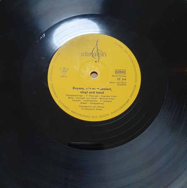 Various : Bayern - Wie Es Musiziert, Singt Und Tanzt (Music Of The Bavarian Alps) (LP)