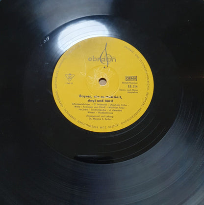Various : Bayern - Wie Es Musiziert, Singt Und Tanzt (Music Of The Bavarian Alps) (LP)