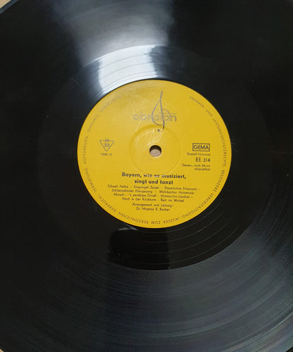Various : Bayern - Wie Es Musiziert, Singt Und Tanzt (Music Of The Bavarian Alps) (LP)