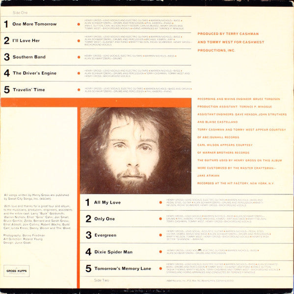 Henry Gross : Plug Me Into Something (LP,Album)