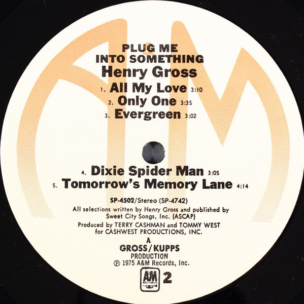 Henry Gross : Plug Me Into Something (LP,Album)