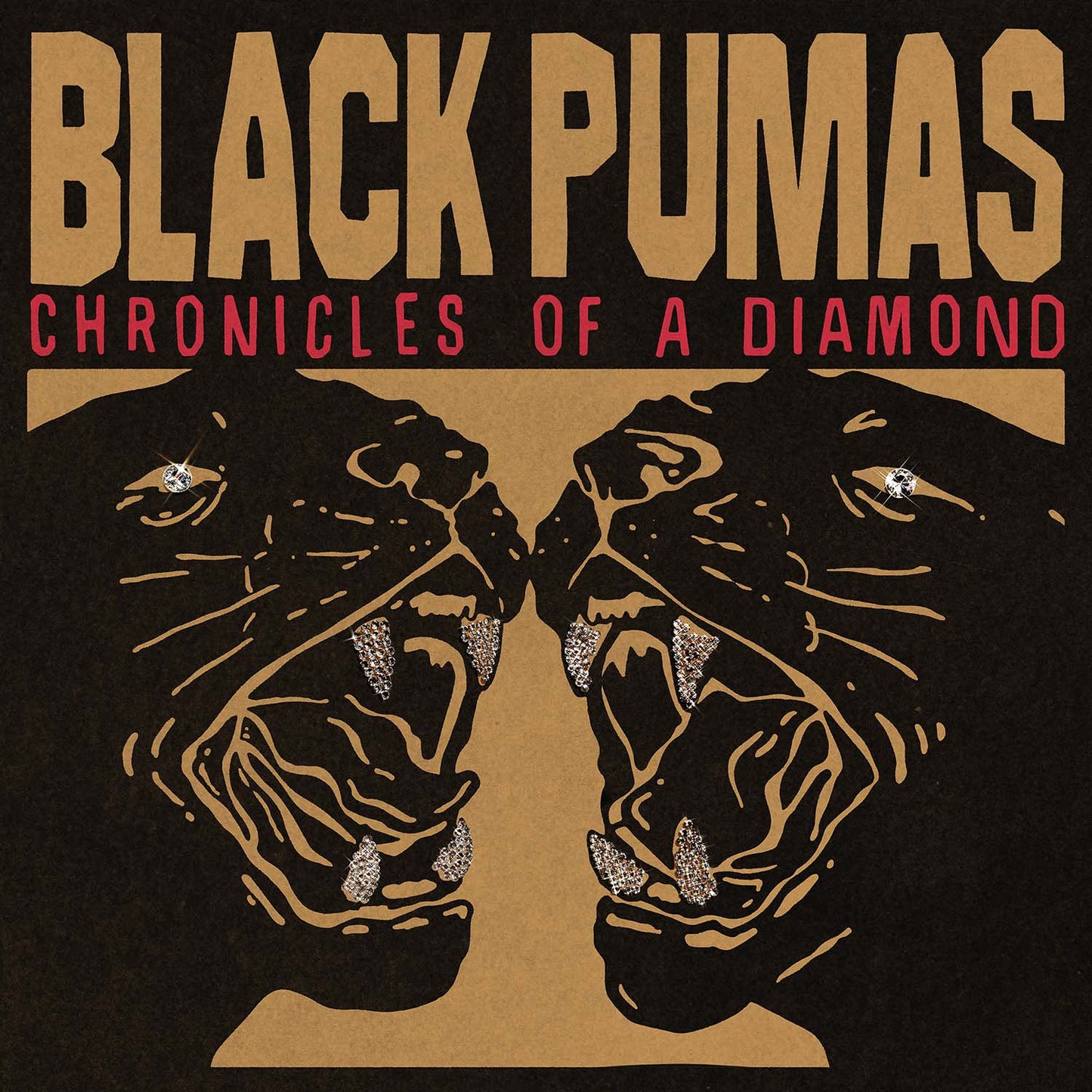 Black Pumas - Chronicles of a Diamond (Standard Edition, Clear LP Vinyl)